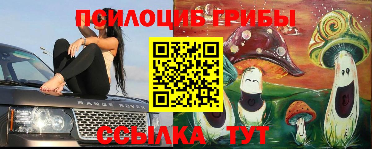 Галлюциногенные грибы мицелий  Псилоцибиновые грибы GOLDEN TEACHER  наркошоп  Вход с VPN  Чайковский 